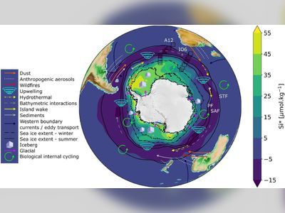 Moran Price: Navigating the Digital Waters with IronSource