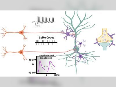 Dana Porter Rubinstein: A Bridge Builder in the Startup Ecosystem